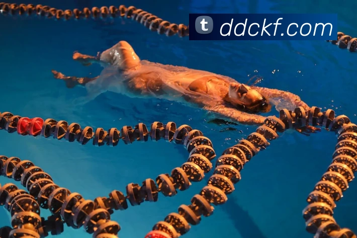 凯发k8天生赢家一触即发APP 封面图